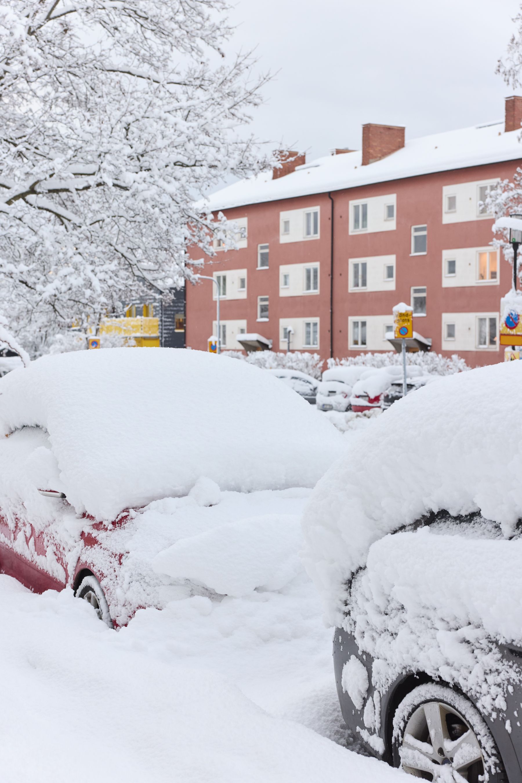 Parkerade bilar täckta av snö