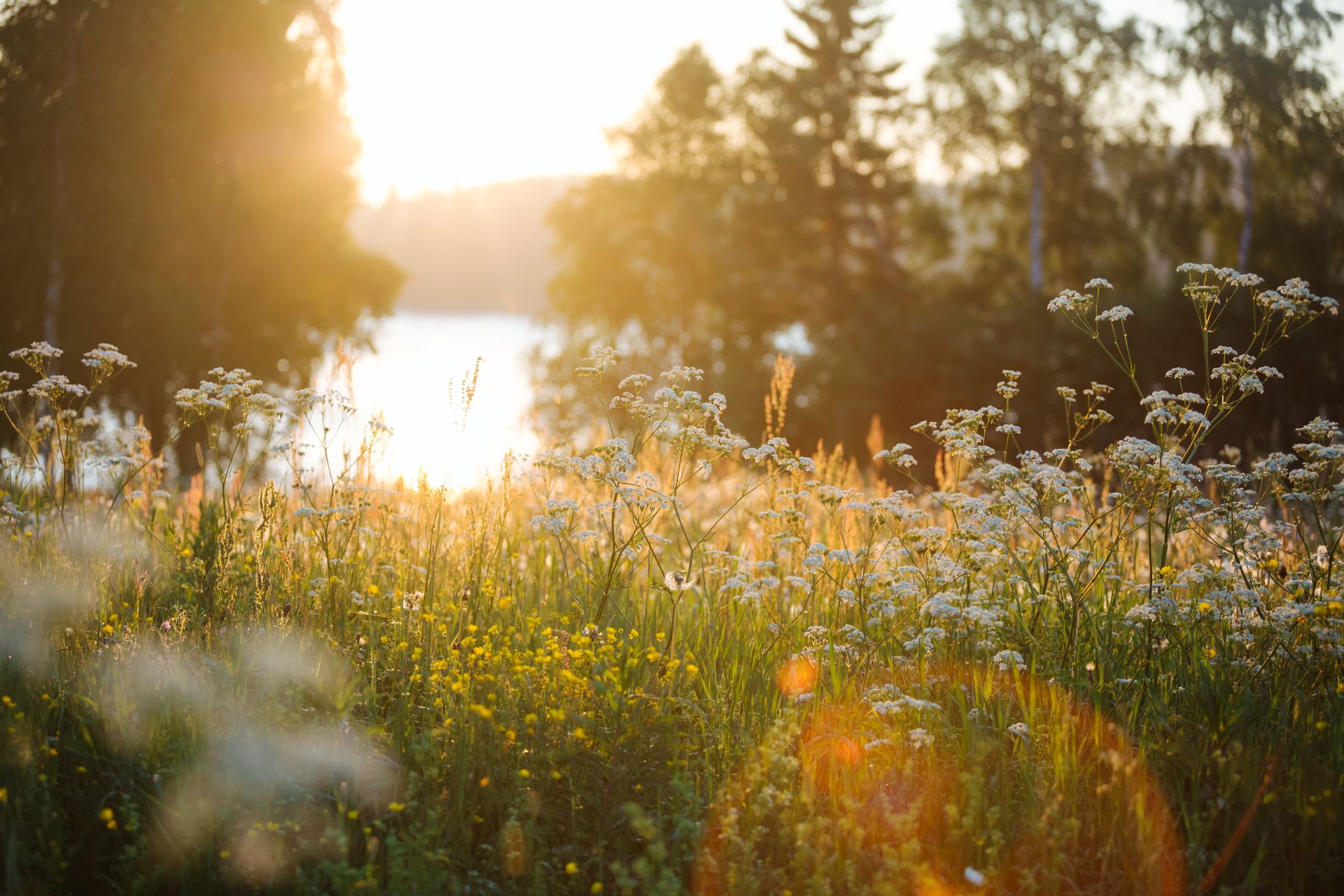 Sommaräng vid vattnet